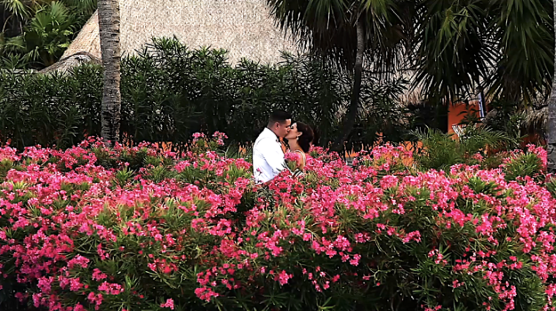 Screen Shot 2019-02-27 at 12.23.36 PM